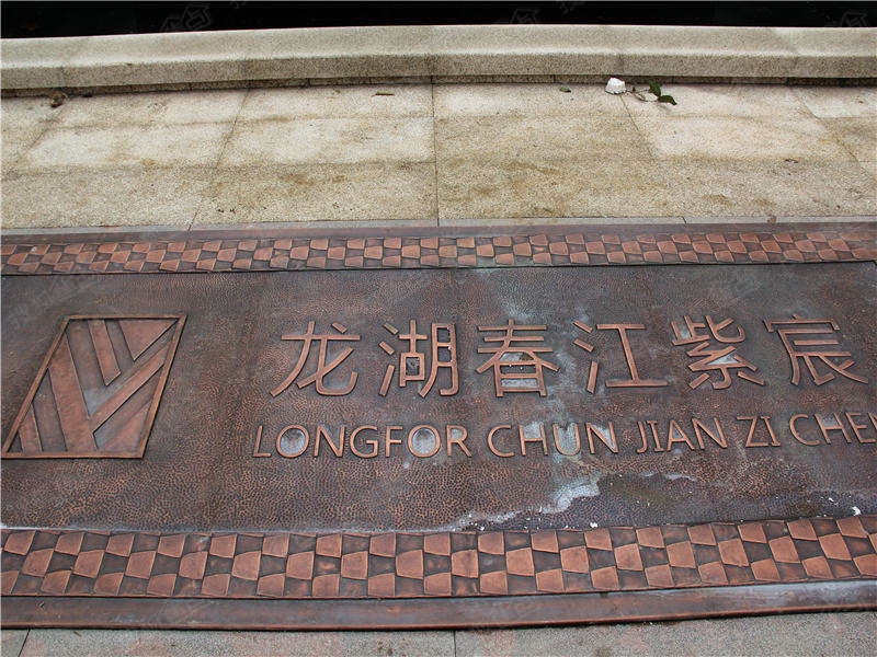 龙湖.春江紫宸DM夹报广告