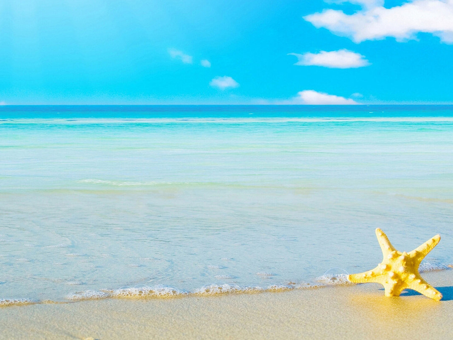 禄口机场国际快件中心投用