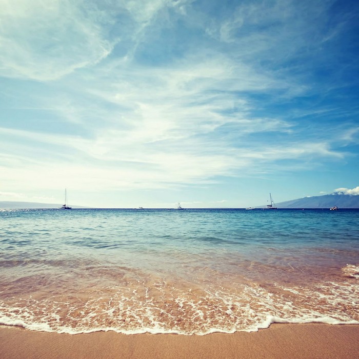 南京公共自行车不再对老人说“不”