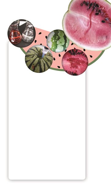 瓜瓤里有黄白筋就是“打过针”？